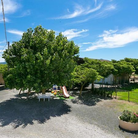 Agriturismo Case Nuove Castellina Marittima Extérieur photo