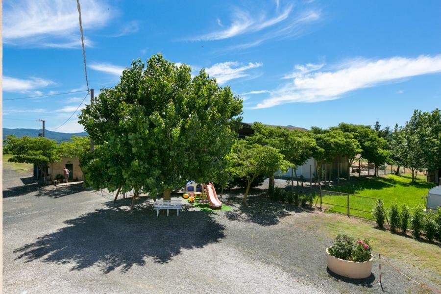 Agriturismo Case Nuove Castellina Marittima Extérieur photo